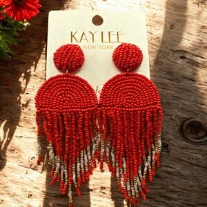 Kay Lee Seed Bead Fringe Earrings